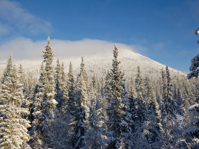 第10回みゆき野映画祭in斑尾2018　